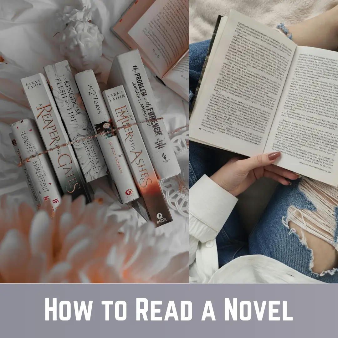 how-to-read-a-novel